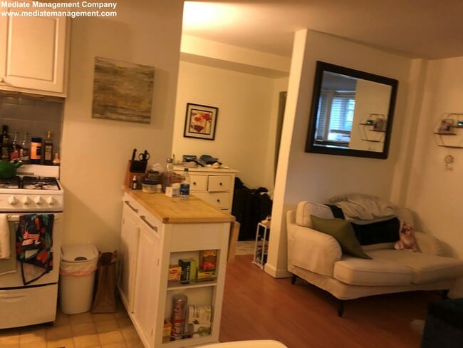 251 W Newton St, Unit 3 photo'