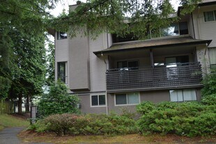 10511 Holly Park Ln in Surrey, BC - Building Photo