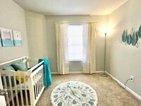 Cranbrook Forest photo'