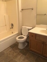 177 Desert Springs Ln in Fernley, NV - Building Photo - Building Photo