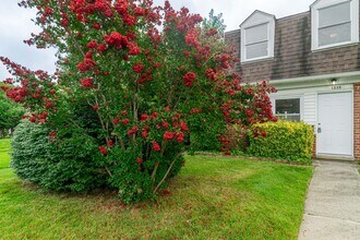 1335 Mantle St in Parkville, MD - Building Photo - Building Photo