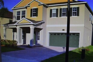 19347 Paddock View Dr in Tampa, FL - Building Photo