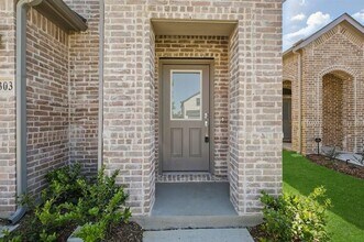 5303 Gentle Rain Dr in McKinney, TX - Building Photo - Building Photo