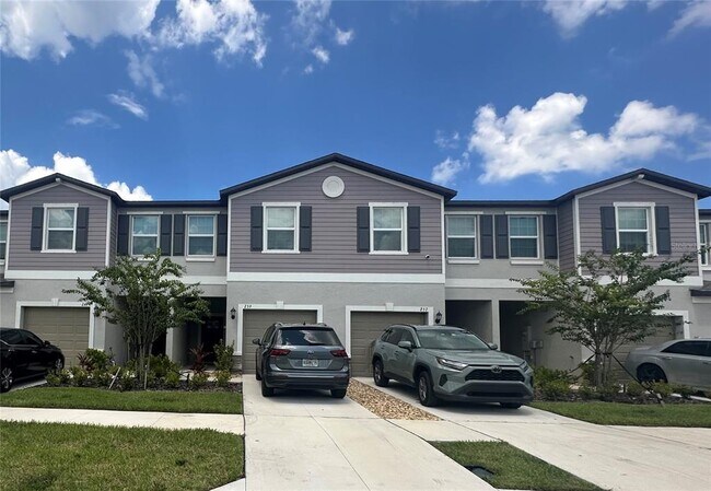 2655 Sunray Venus Wy in Ruskin, FL - Building Photo - Building Photo