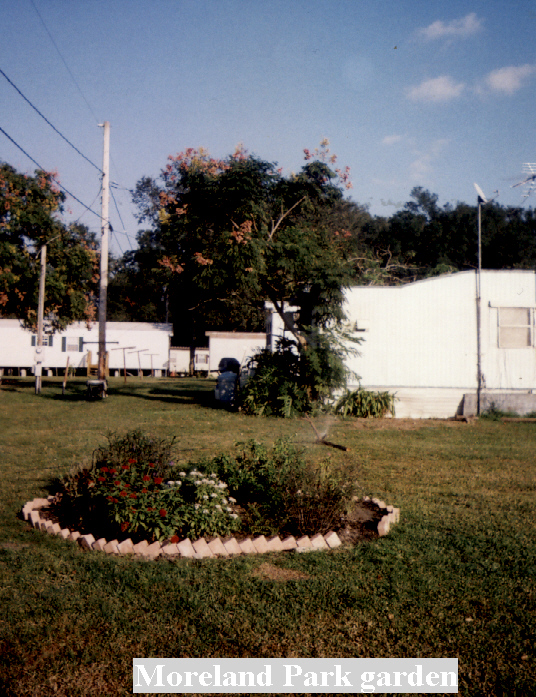 Moreland Park in Wildwood, FL - Foto de edificio - Building Photo