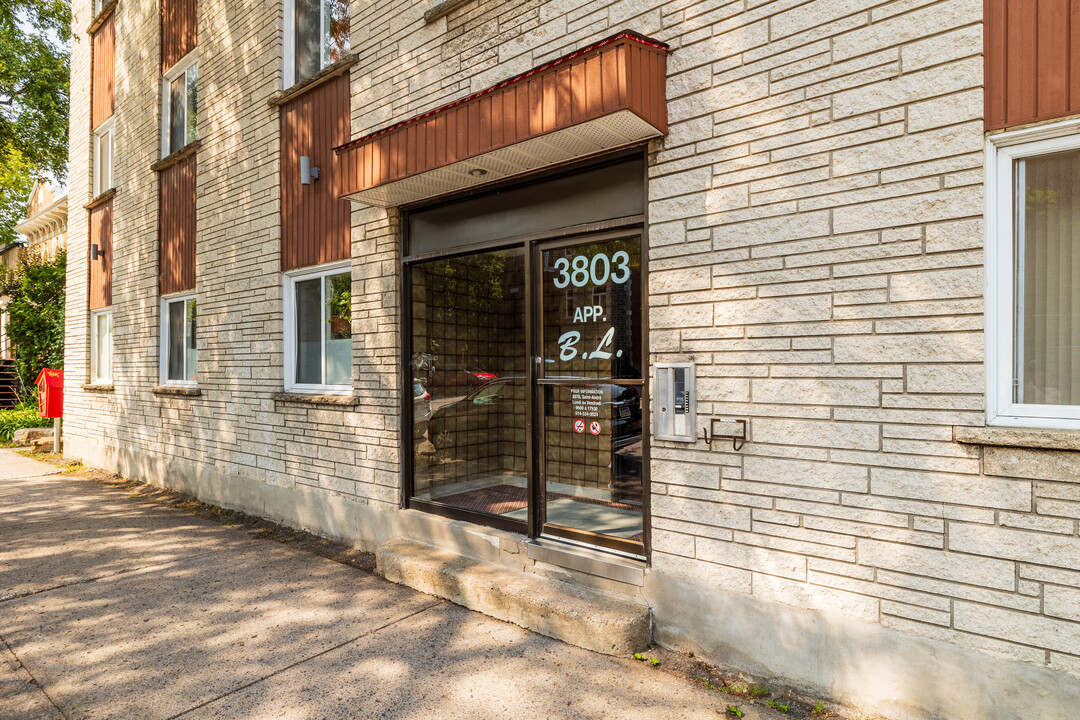 3803 Saint-Hubert Rue in Montréal, QC - Building Photo