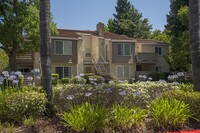 Building Photo - River Pointe Apartamentos in Sacramento, California
