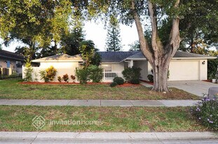 5023 Orange Grove Way in Palm Harbor, FL - Building Photo