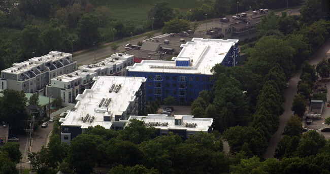 Linden Apartments in Boston, MA - Building Photo - Primary Photo