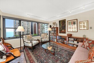 247 E Chestnut St in Chicago, IL - Foto de edificio - Building Photo