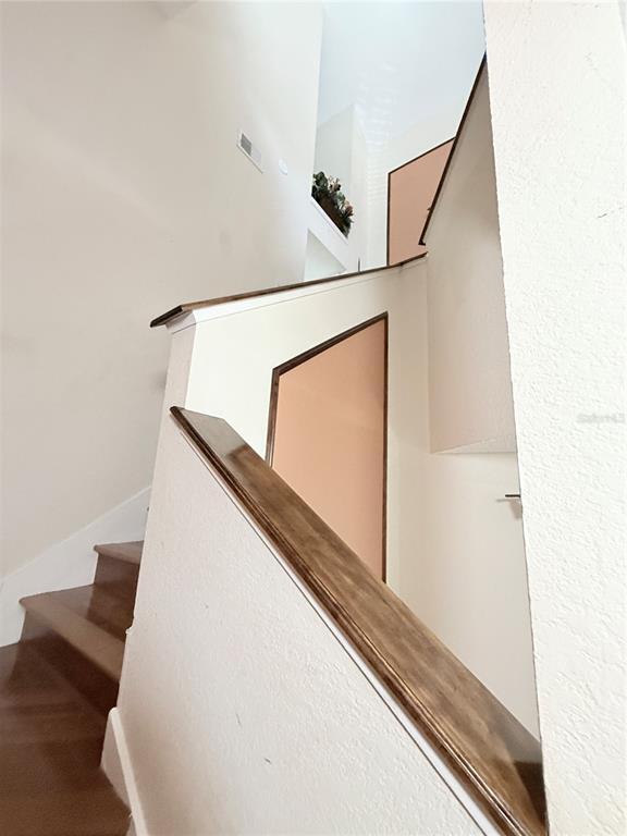 3261 Haviland Ct in Palm Harbor, FL - Building Photo - Building Photo