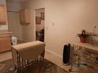 118 Elles Ave in Carterville, IL - Building Photo - Building Photo