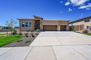 9924 Meridian Hills Trl in Peyton, CO - Building Photo