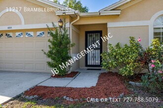 11217 Bramblebrush St in Tampa, FL - Building Photo - Building Photo