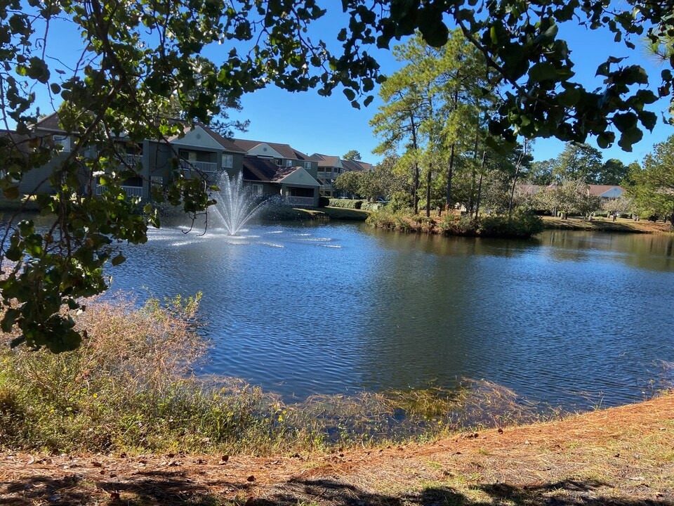 100 Myrtle Greens Dr in Conway, SC - Building Photo