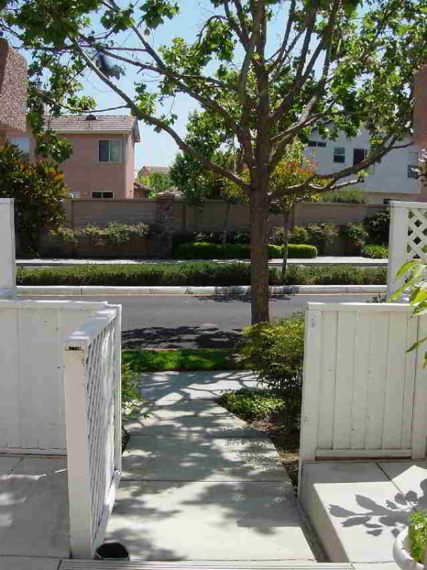 4XXX Cosenza Loop in San Jose, CA - Building Photo - Building Photo
