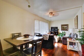 460 Comal Ave in New Braunfels, TX - Foto de edificio - Building Photo