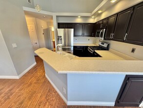 1563 Lake Placid Terrace in Henderson, NV - Building Photo - Building Photo