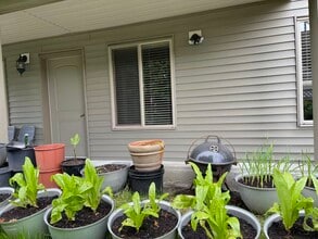 8021-160A 160a St in Surrey, BC - Building Photo - Building Photo