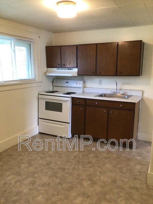 703 E Chippewa St in Mt. Pleasant, MI - Building Photo - Building Photo