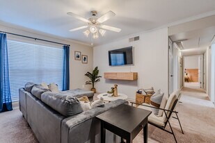 10020 Regal Park Ln in Dallas, TX - Building Photo