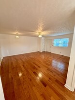 38 Long Meadows Dr, Unit 1 in Leicester, NC - Building Photo