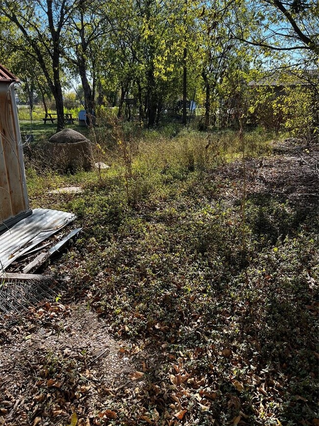 102 E Carrie Manor St in Manor, TX - Building Photo - Building Photo