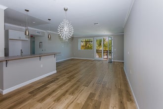 11828 Runnymede St in North Hollywood, CA - Building Photo - Building Photo