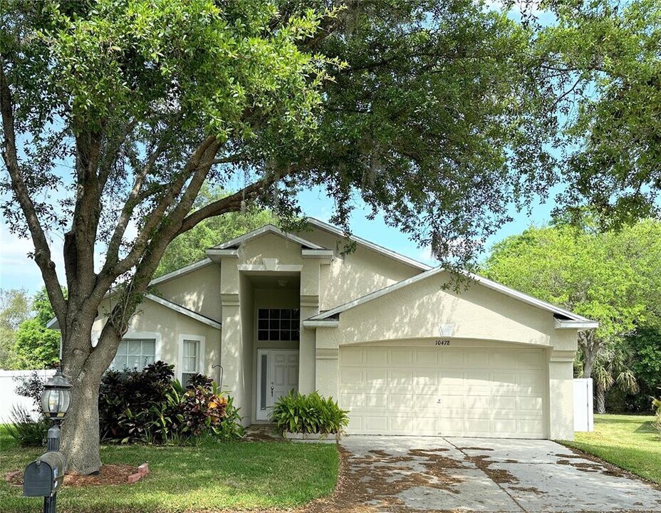 10478 Lucaya Dr in Tampa, FL - Building Photo