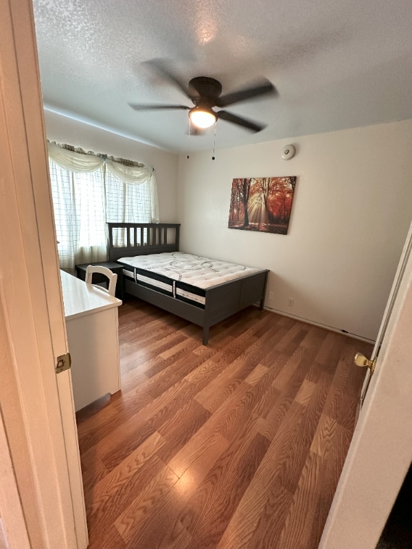 1511 Seabrook Ln in San Diego, CA - Building Photo - Building Photo