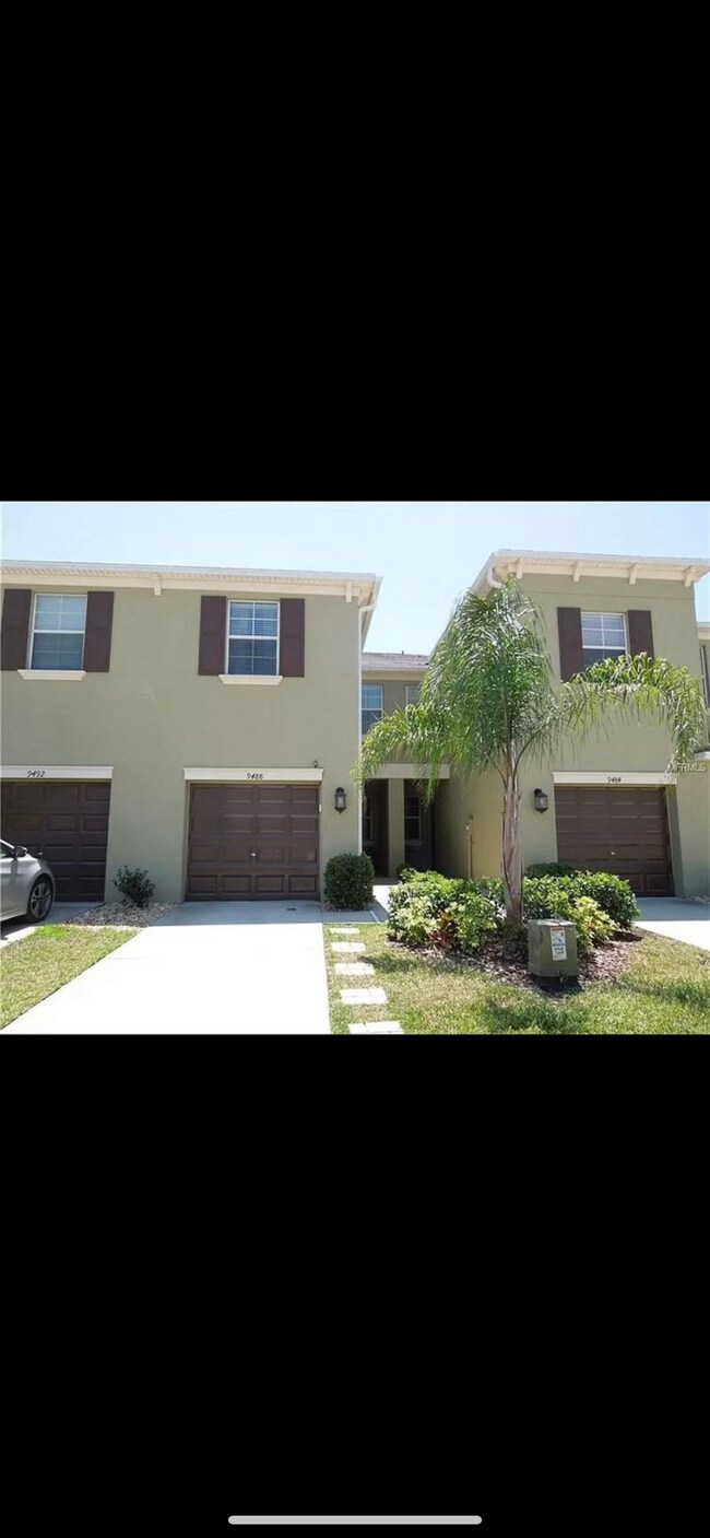 9488 Trumpet Vine Loop Rentals in Trinity, FL