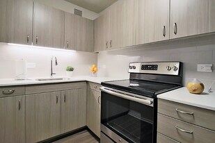 1232 N Dearborn St in Chicago, IL - Building Photo