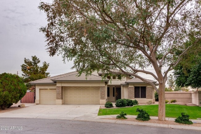 7649 S Ash Ave in Tempe, AZ - Building Photo - Building Photo
