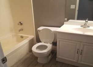 7341 Encinitas Ct in Fontana, CA - Building Photo - Building Photo