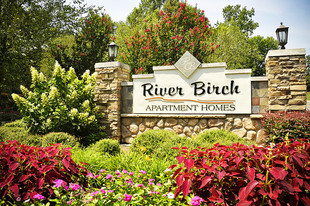 River Birch Apartment Homes Phase II