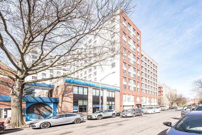 Tree of Life in Jamaica, NY - Foto de edificio - Building Photo