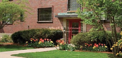 54 Alton Pl-Unit -C3 in Brookline, MA - Building Photo - Building Photo
