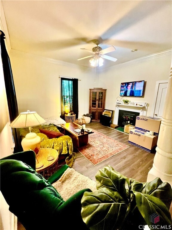229 North Ave in Athens, GA - Building Photo - Building Photo