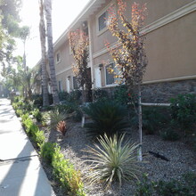 1001 Pine Ave in Redlands, CA - Building Photo - Building Photo