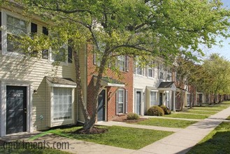 Ashland Woods in Ashland, VA - Foto de edificio - Building Photo