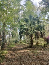 8035 NW 120th St in Reddick, FL - Building Photo - Building Photo