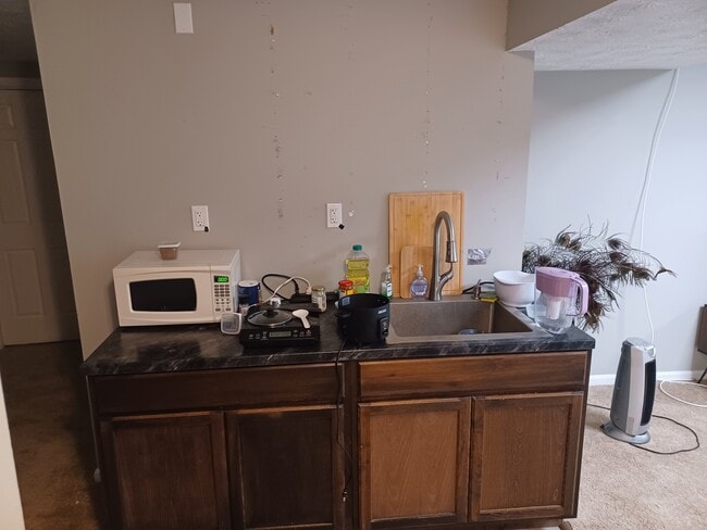 611 Buckingham Ln, Unit Basement Apartment in Lexington, KY - Building Photo - Building Photo