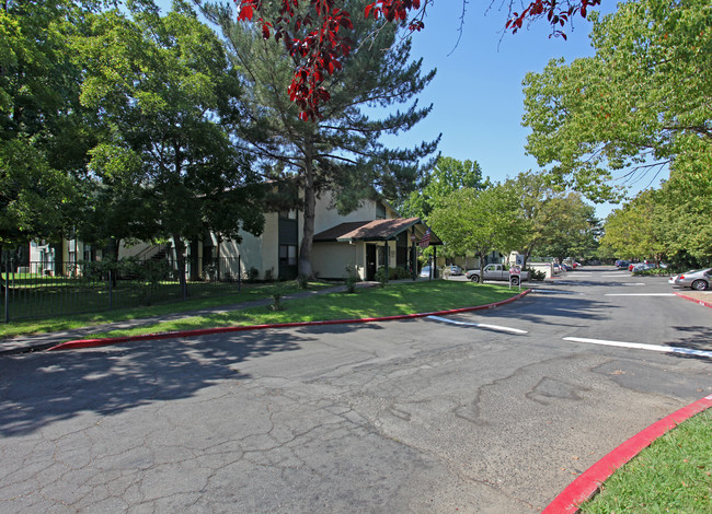 Elk Grove in Elk Grove, CA - Foto de edificio - Building Photo