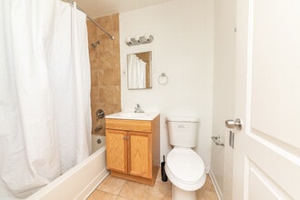 233 Custer Ave in Evanston, IL - Building Photo - Building Photo