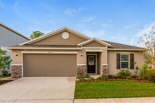 9215 Freedom Hill Dr in Seffner, FL - Building Photo