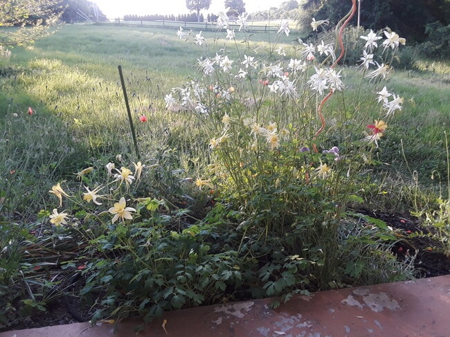 property at 992 Broad Ln