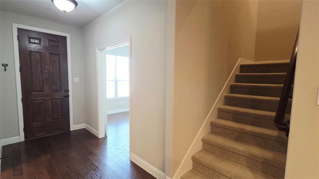 309 Tottenham Ct in McKinney, TX - Building Photo - Building Photo