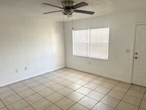 8521 Chinaberry Dr in Tampa, FL - Building Photo - Building Photo