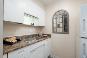 College Manor in Gainesville, FL - Building Photo - Building Photo