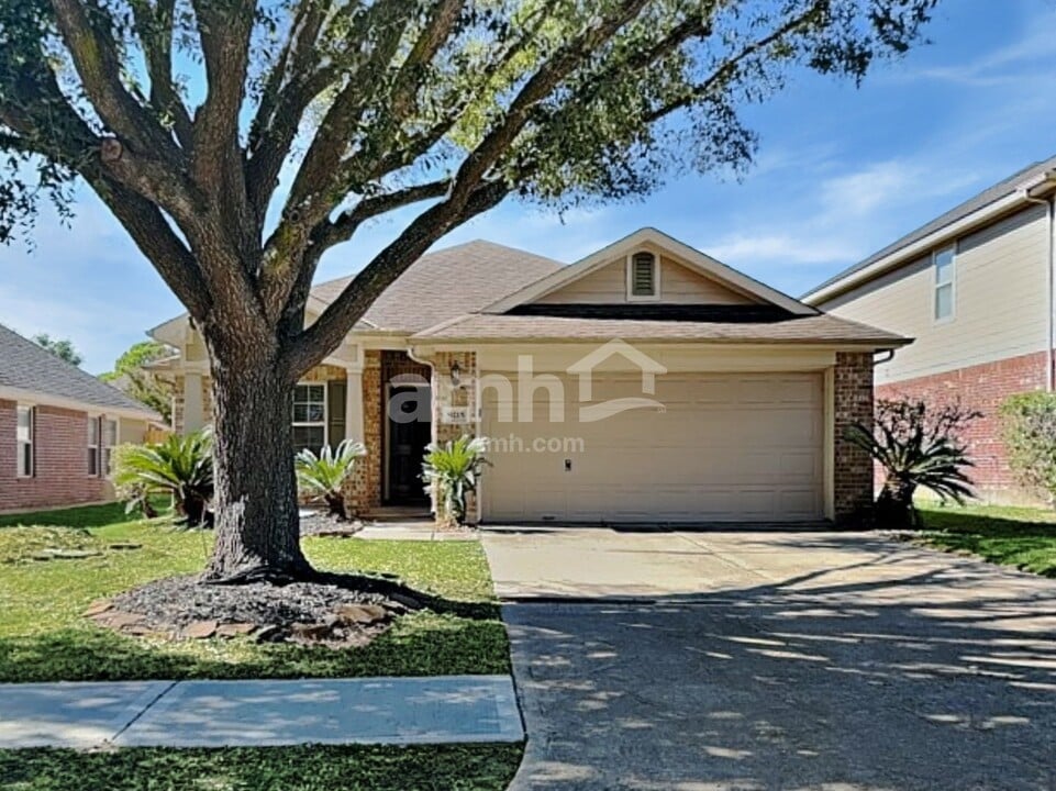 9215 Birch Springs Dr in Houston, TX - Building Photo